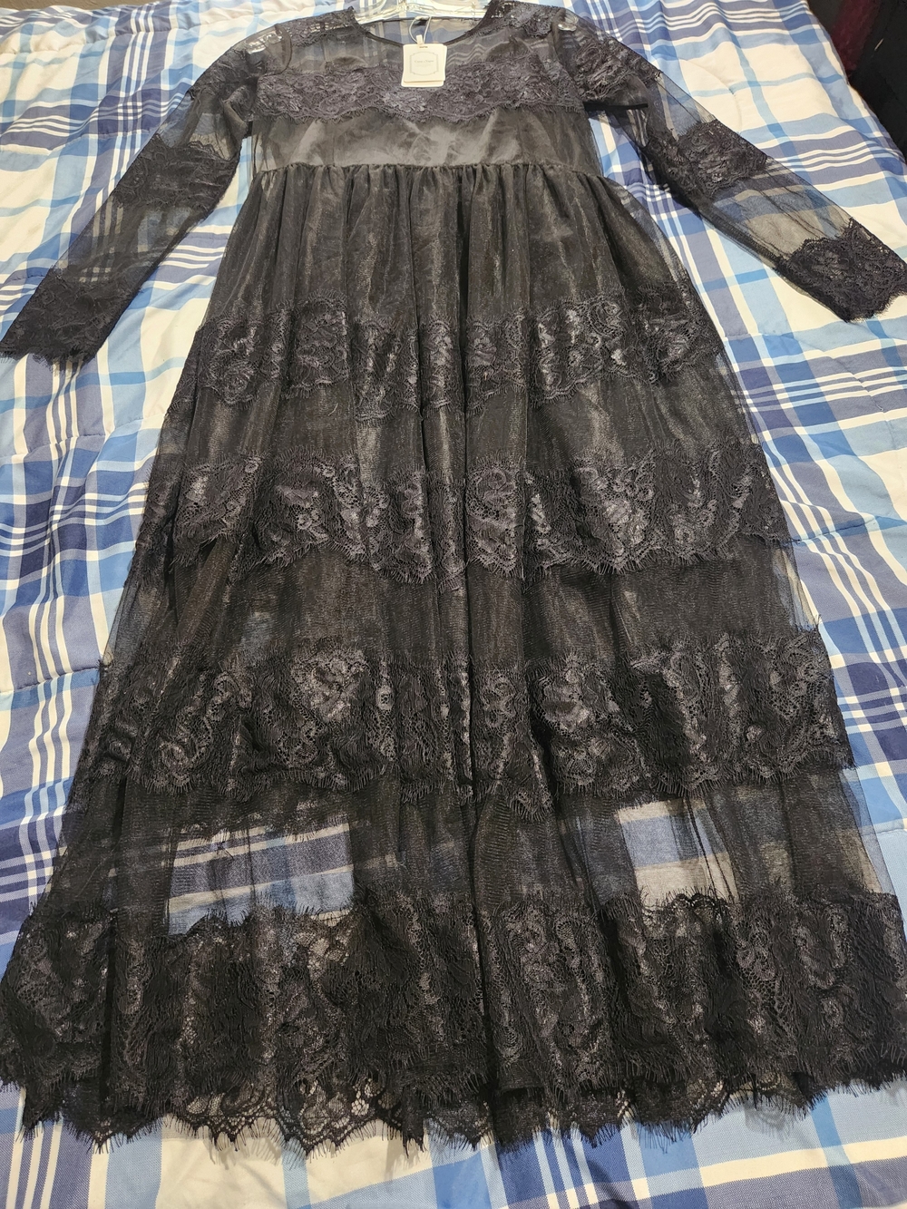 Sheer Black Lace Long-Sleeve Maxi Dress